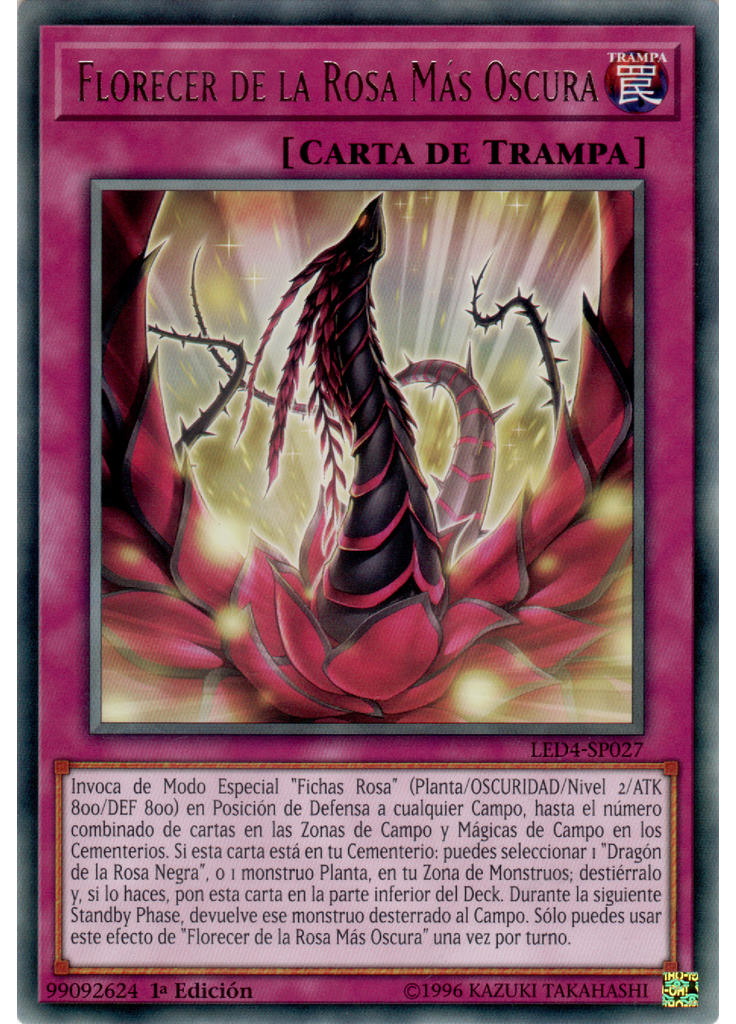 Florecer de la Rosa Más Oscura