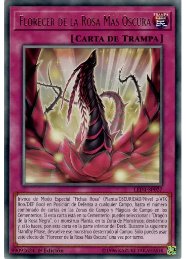 Florecer de la Rosa Más Oscura