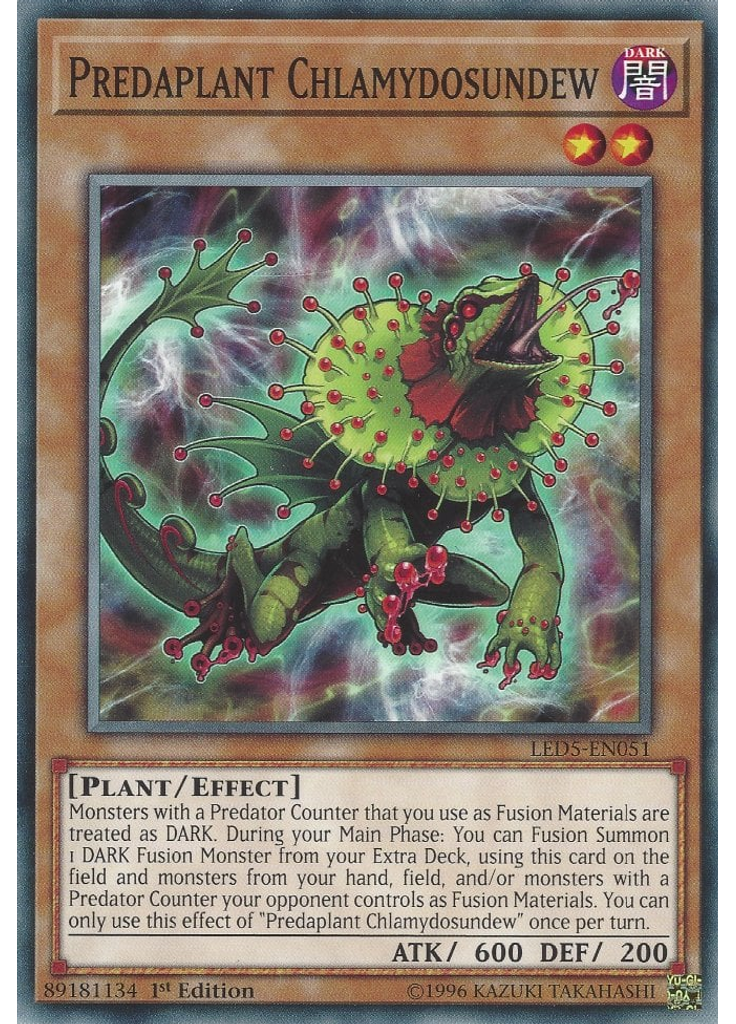Predaplant Chlamydosundew