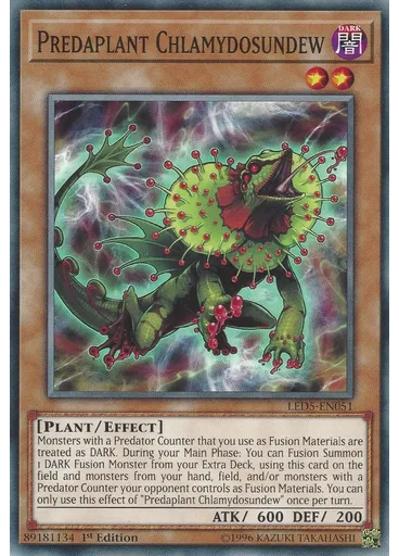 Predaplant Chlamydosundew
