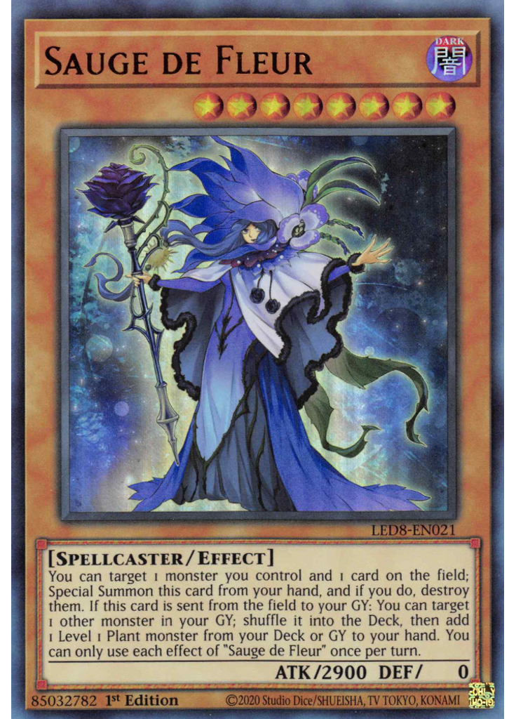 Sauge de Fleur