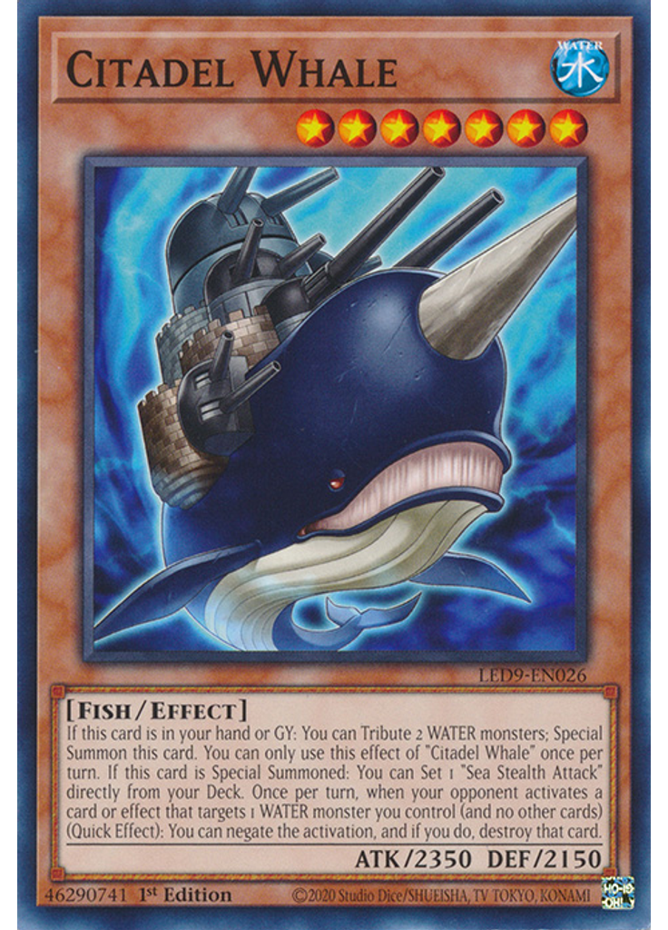 Citadel Whale
