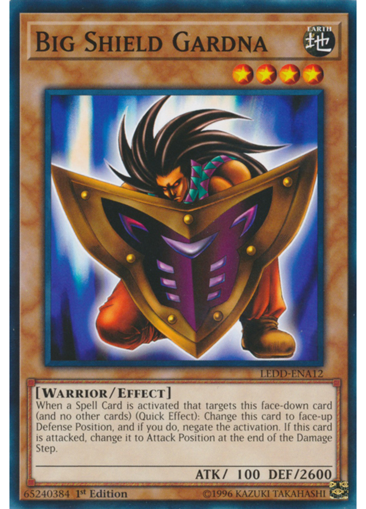 Big Shield Gardna