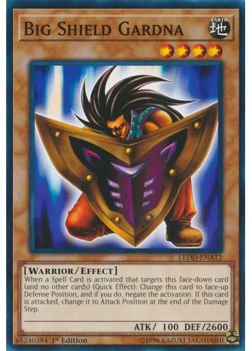 Big Shield Gardna