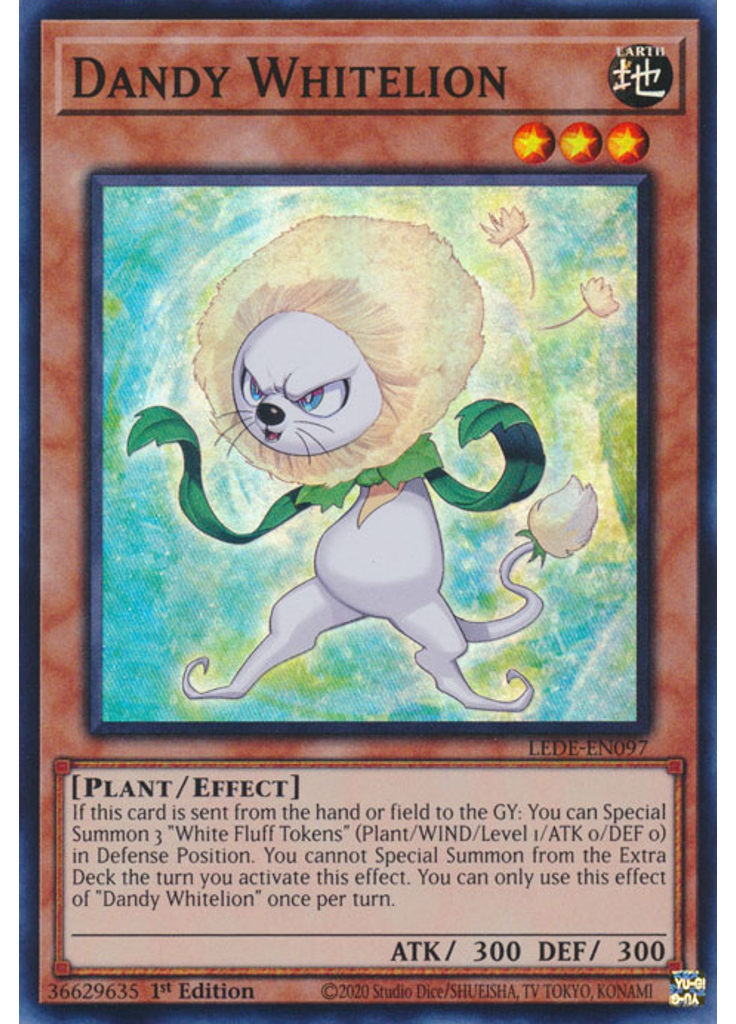 Dandy Whitelion
