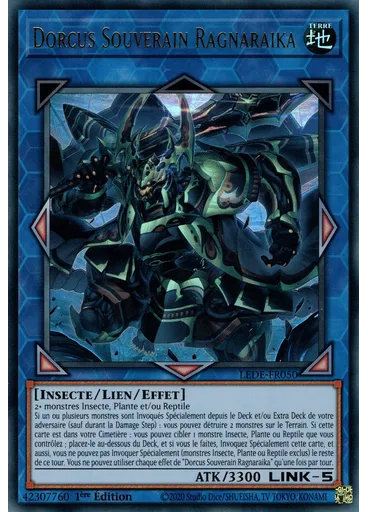Dorcus Souverain Ragnaraika