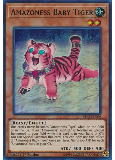 Amazoness Baby Tiger