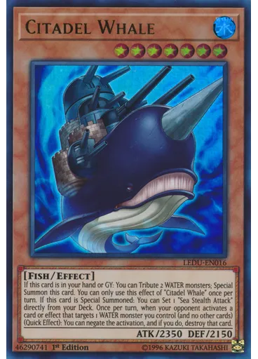 Citadel Whale