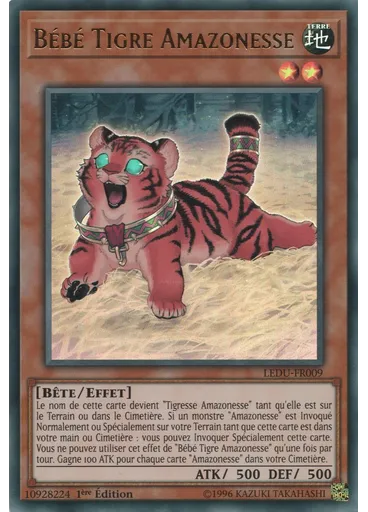 Bébé Tigre Amazonesse