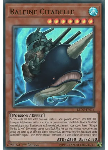 Baleine Citadelle