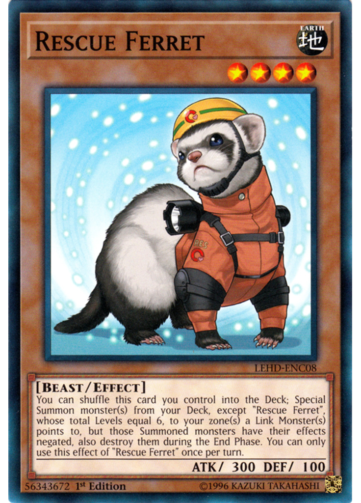 Rescue Ferret