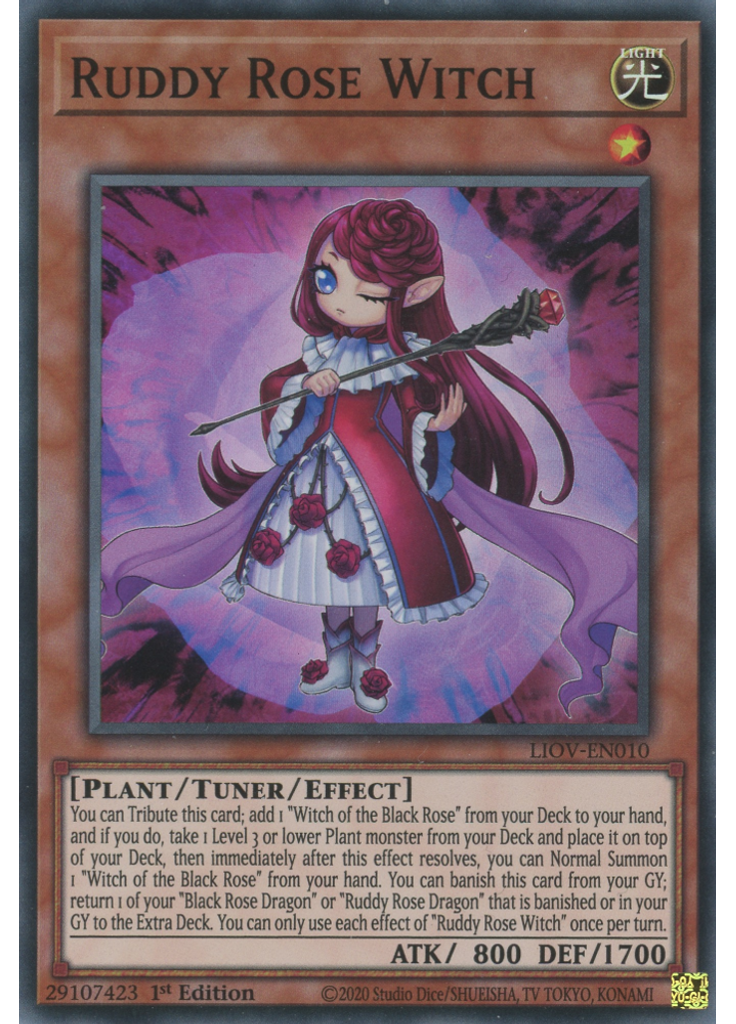 Ruddy Rose Witch