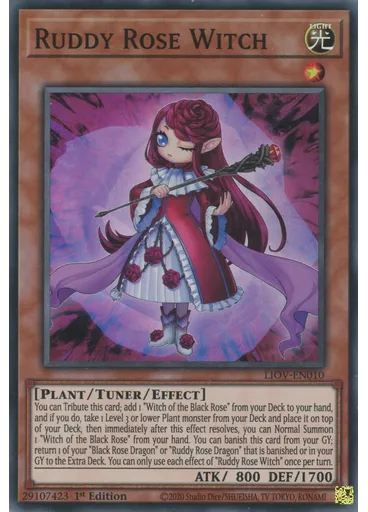 Ruddy Rose Witch