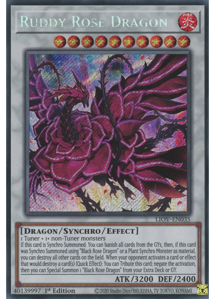 Ruddy Rose Dragon
