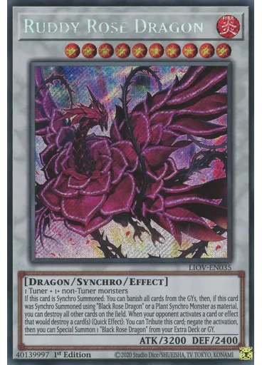 Ruddy Rose Dragon