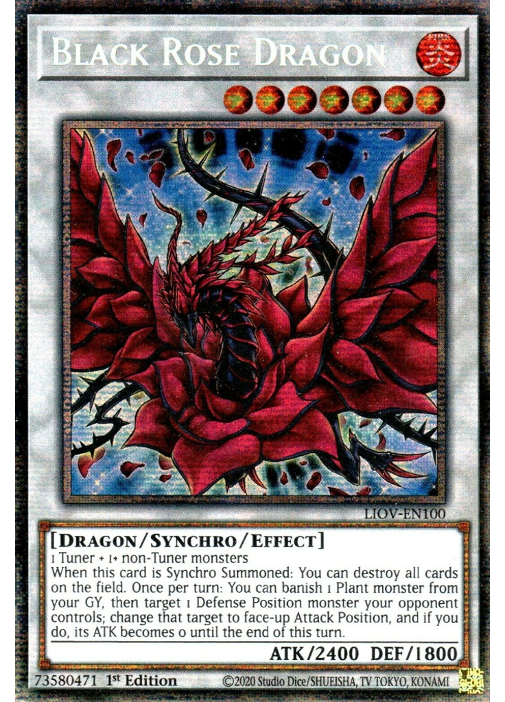 Black Rose Dragon