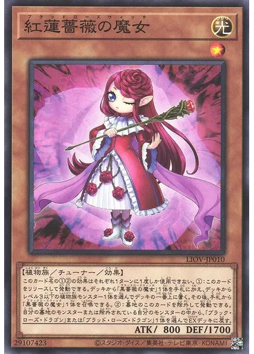 紅蓮薔薇の魔女