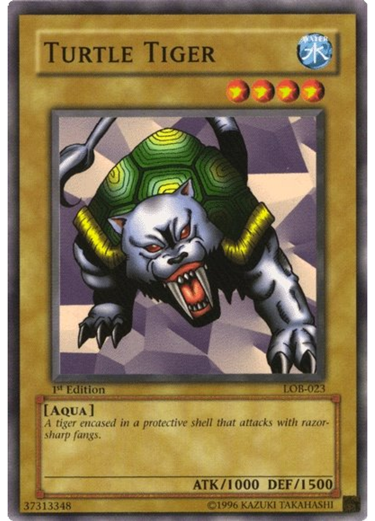 Turtle Tiger