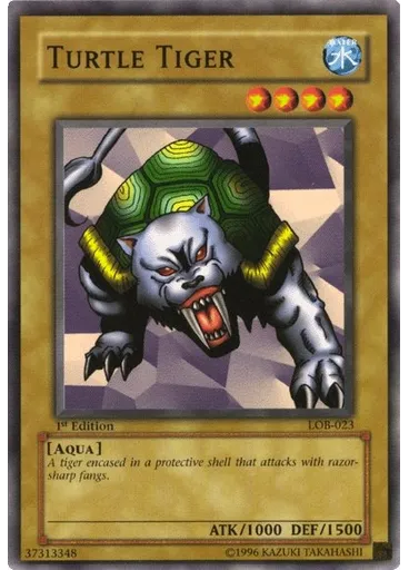 Turtle Tiger