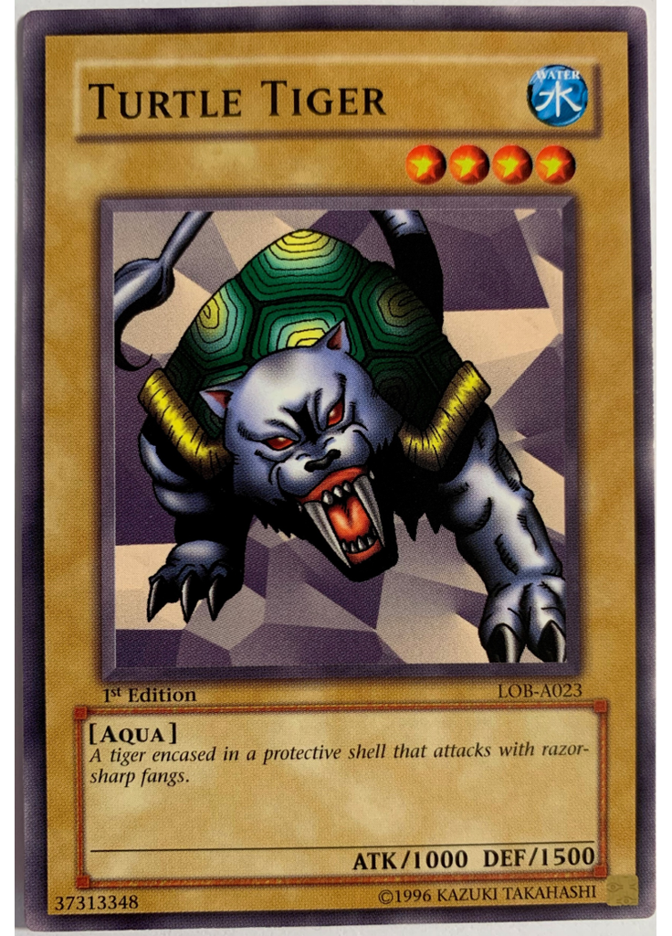 Turtle Tiger