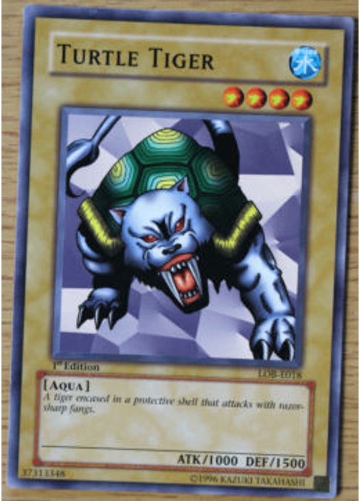 Turtle Tiger