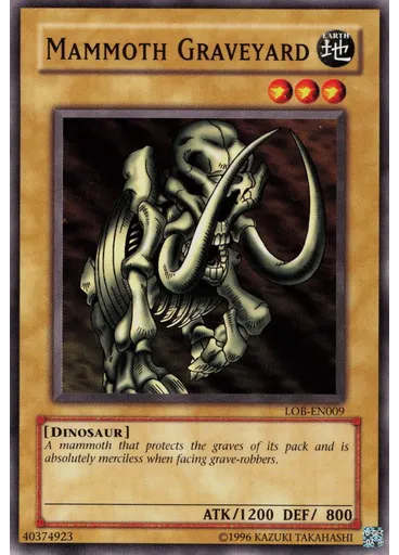 Mammoth Graveyard