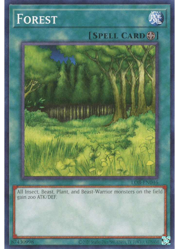 Forest (Common Unlimited 25th Anniversary Edition)