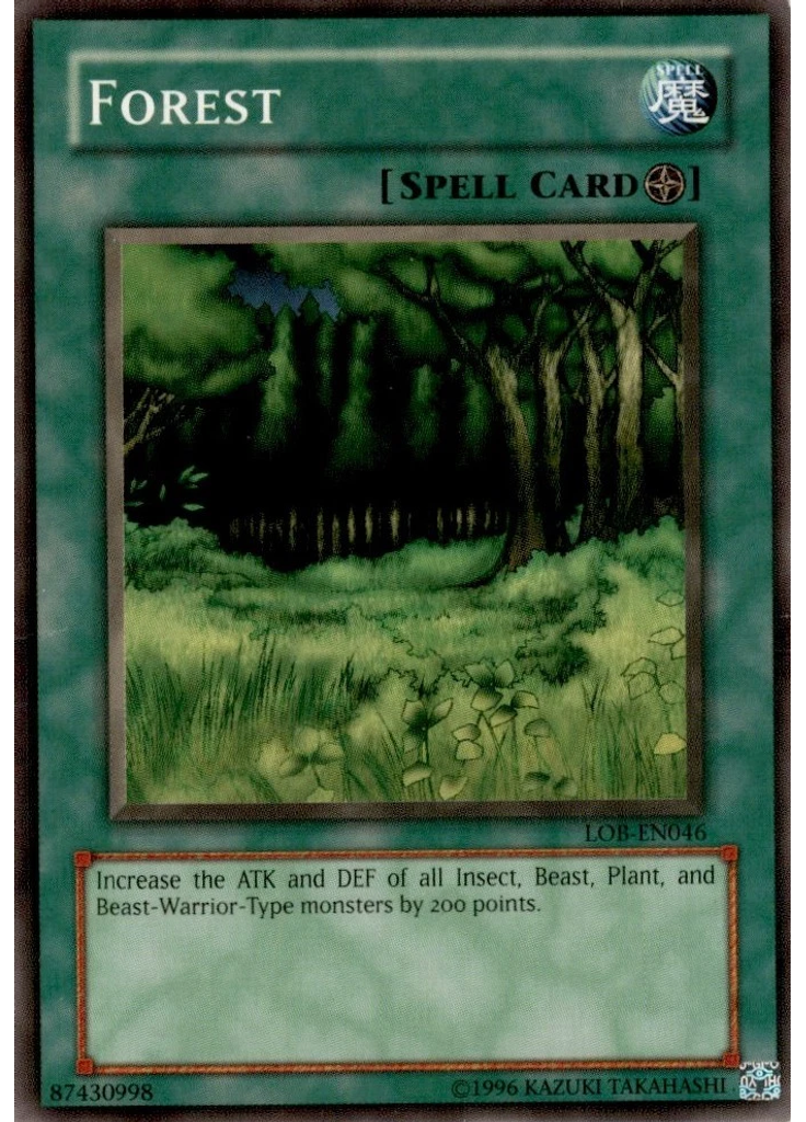 Forest
