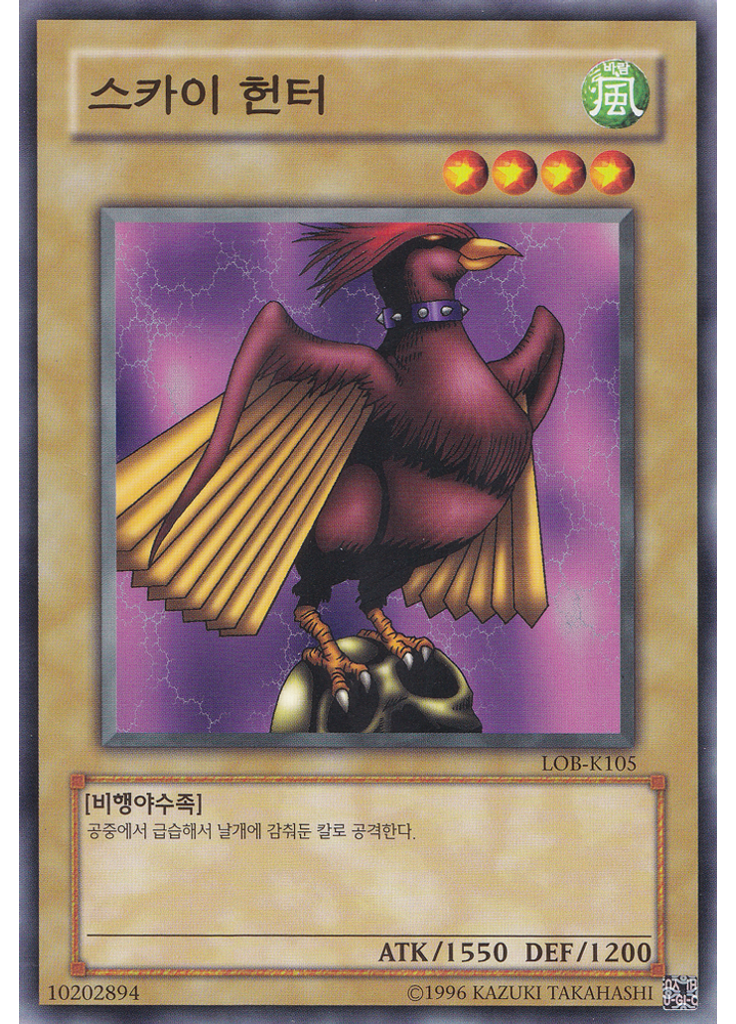 스카이헌터 (Common Unlimited)