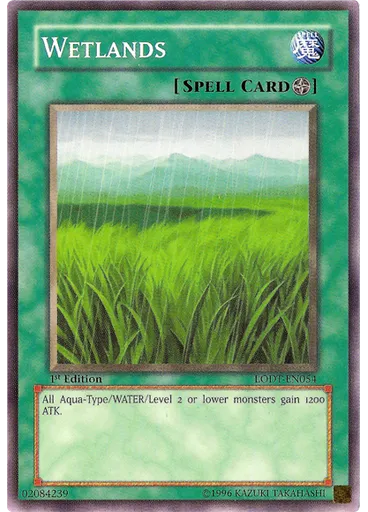 Wetlands
