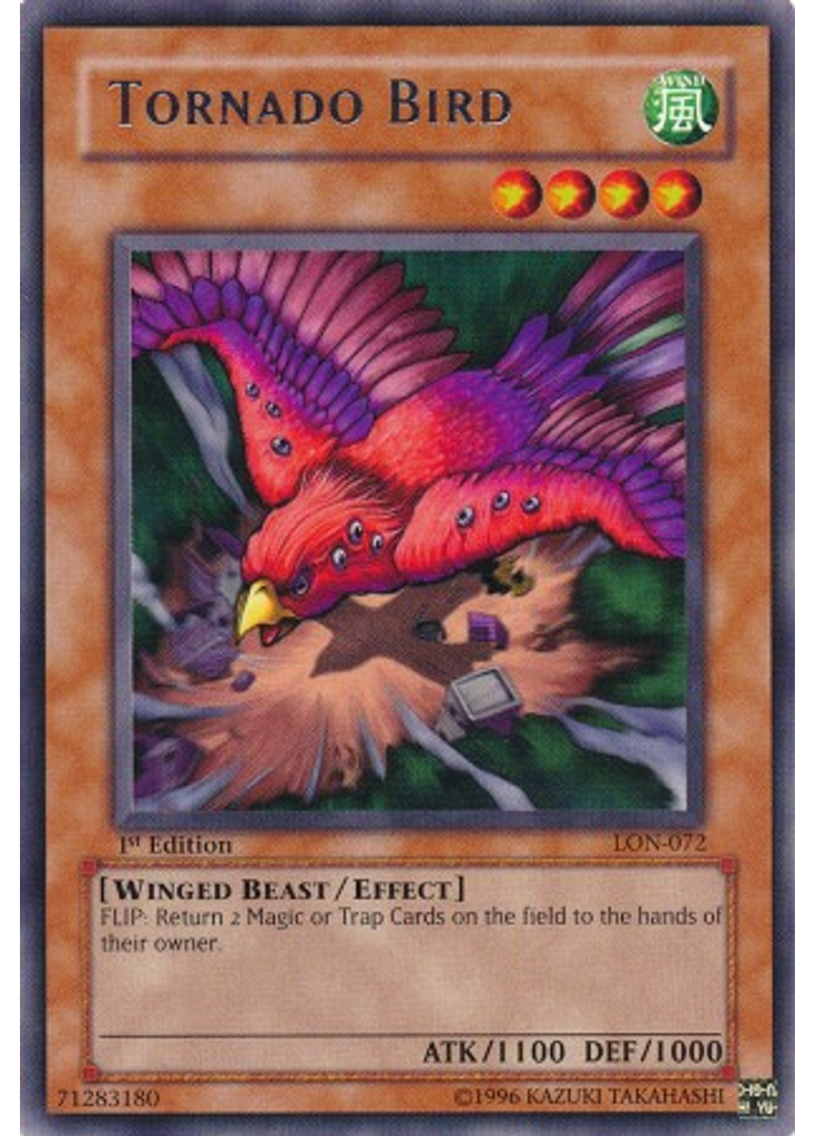 Tornado Bird