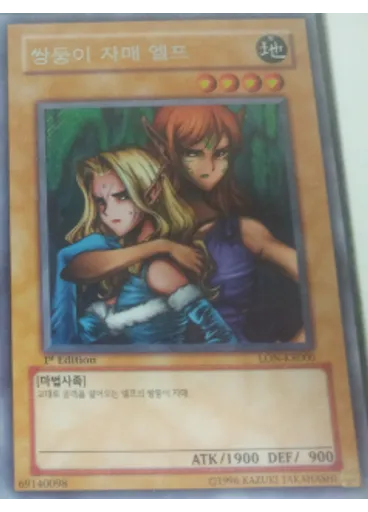 쌍둥이 자매 엘프