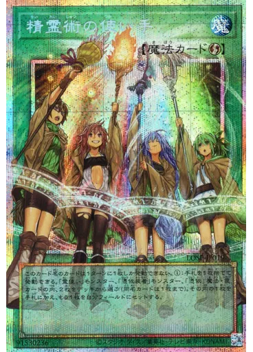 精霊術の使い手