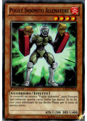 Pugile Indomito Allenatore