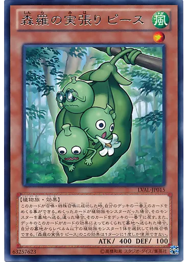 森羅の実張り ピース