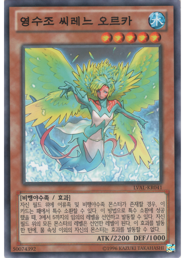 영수조 씨레느 오르카 (Common Unlimited)