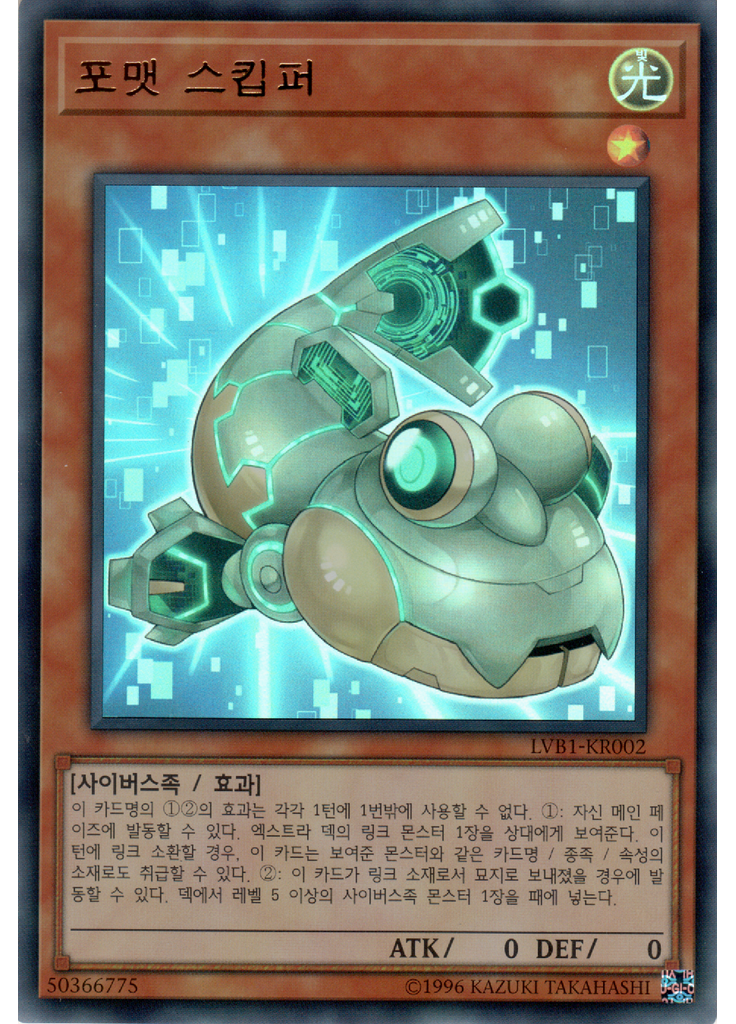 포맷 스킵퍼