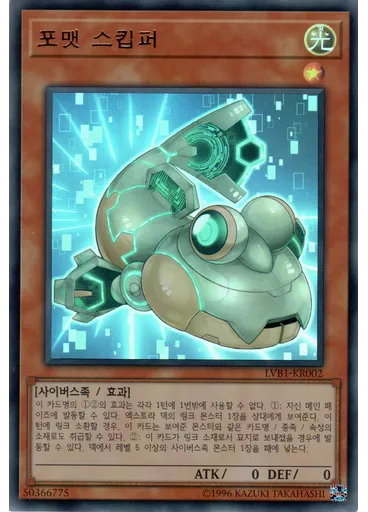 포맷 스킵퍼
