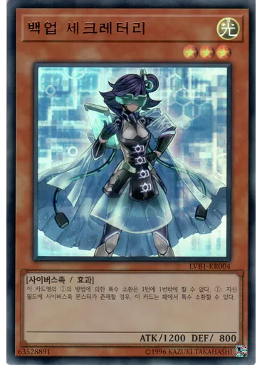 백업 세크레터리 — LINK VRAINS Box