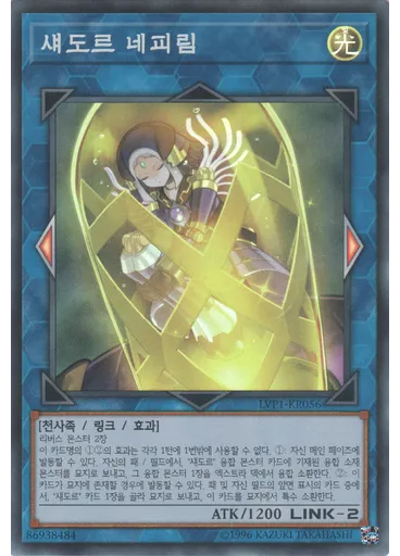 섀도르 네피림