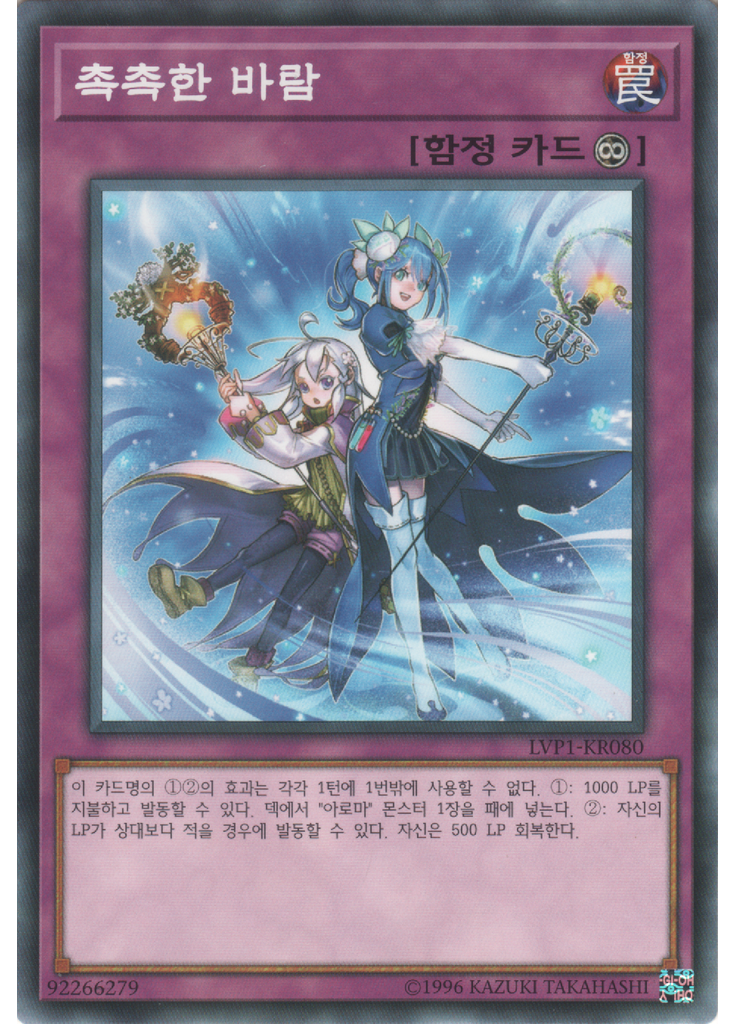 촉촉한 바람