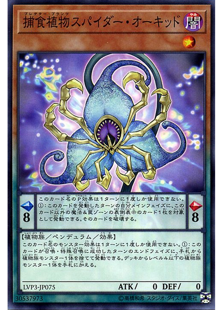 捕食植物スパイダー・オーキッド