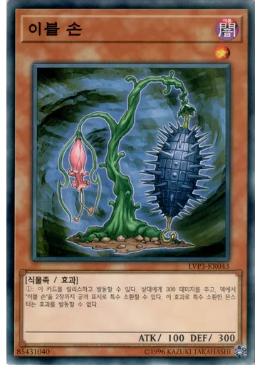 이블 손