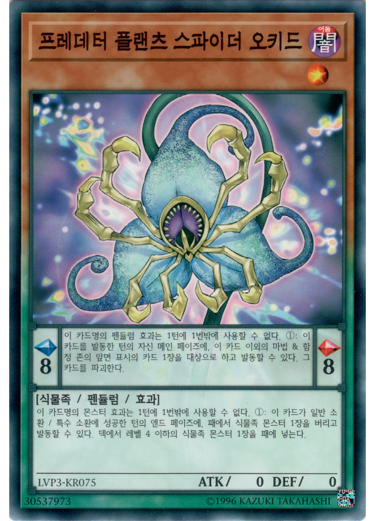 프레데터 플랜츠 스파이더 오키드