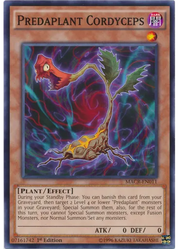 Predaplant Cordyceps