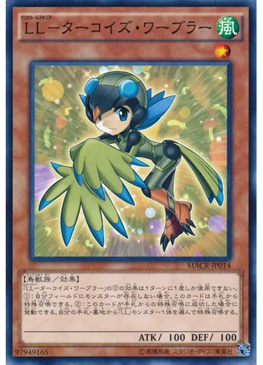 ＬＬ－ターコイズ・ワーブラー
