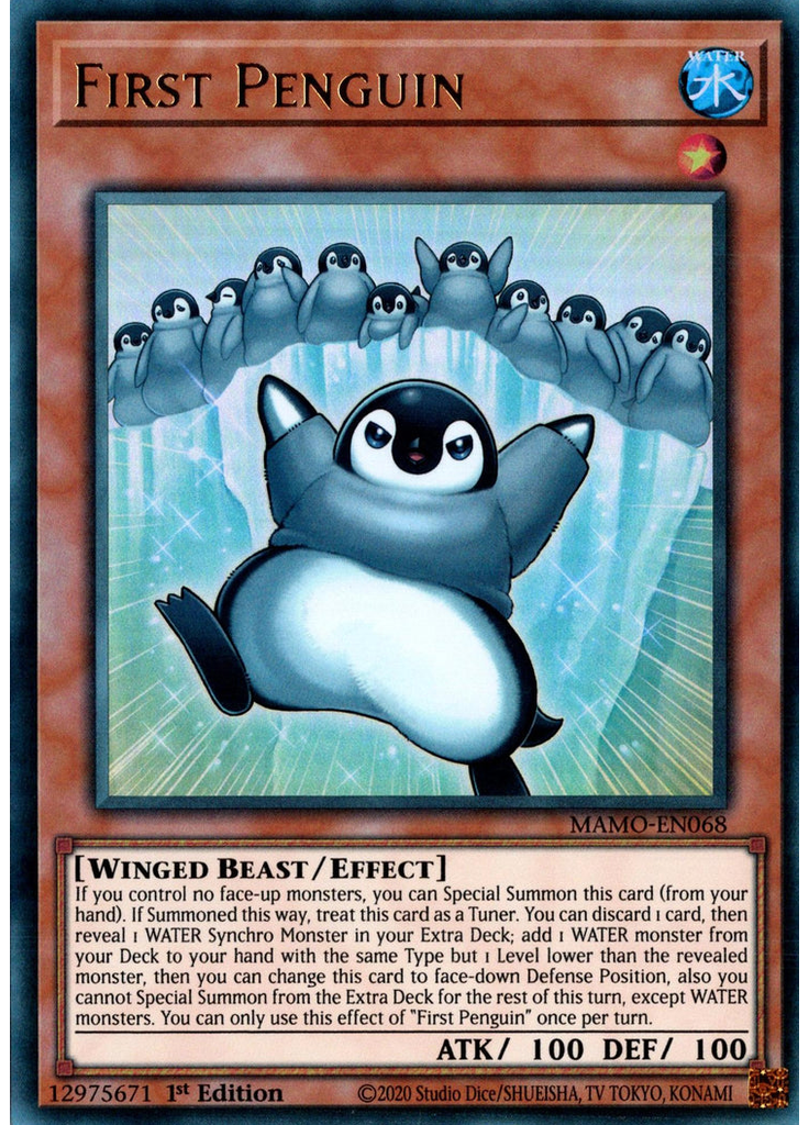 First Penguin