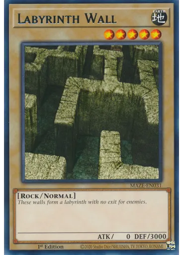 Labyrinth Wall