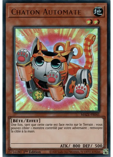 Chaton Automate
