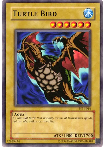 Turtle Bird